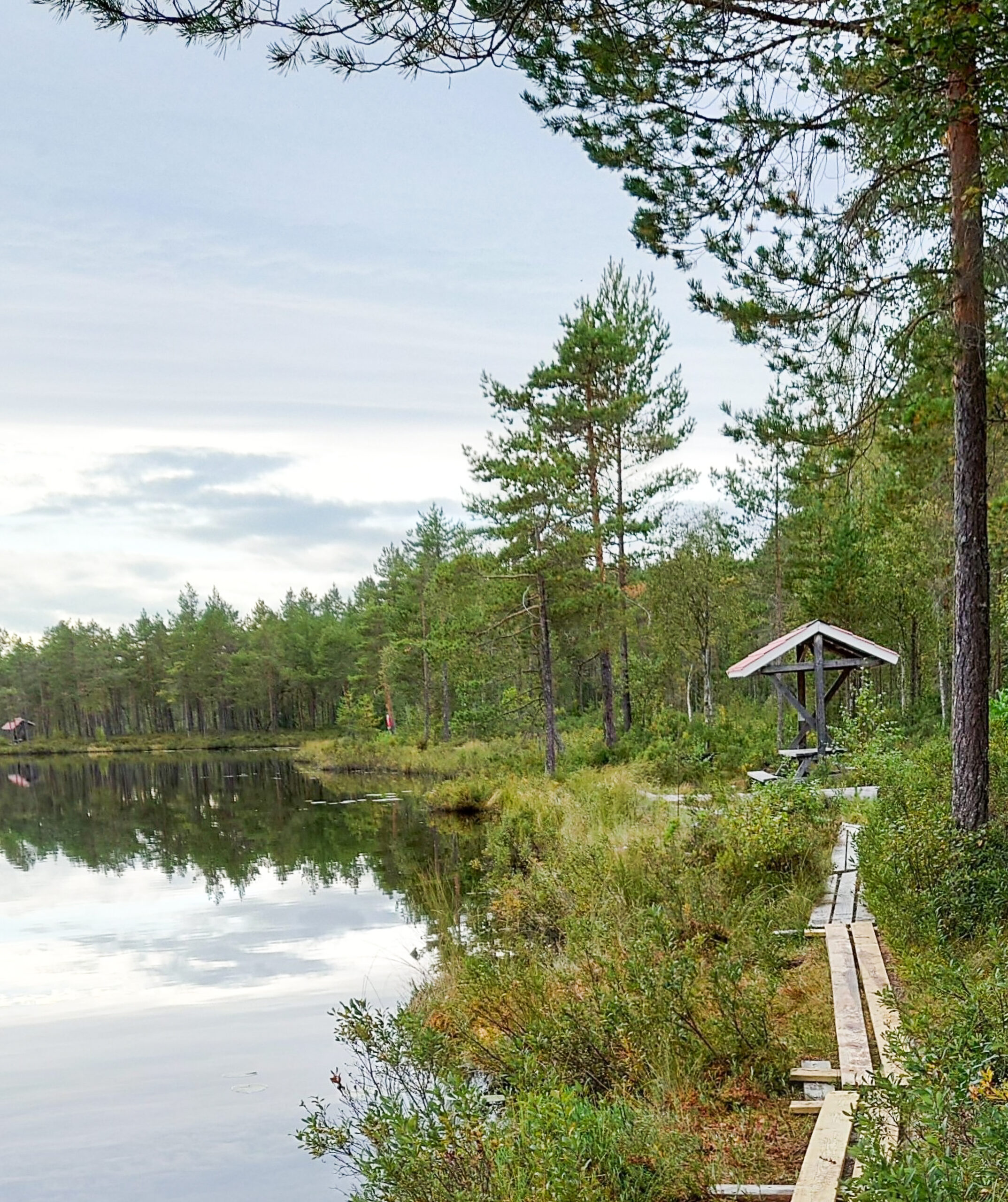 Svarttjärn i Dalarna. Spång längs vattenbrynet leder till sittplats under tak. Tallar och tät växtlighet runt sjön.
